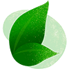 Cor de 2020: Verde