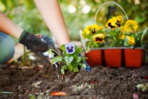 Primavera, tempo de renovação