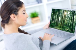 Ecologia virtual e bem-viver
