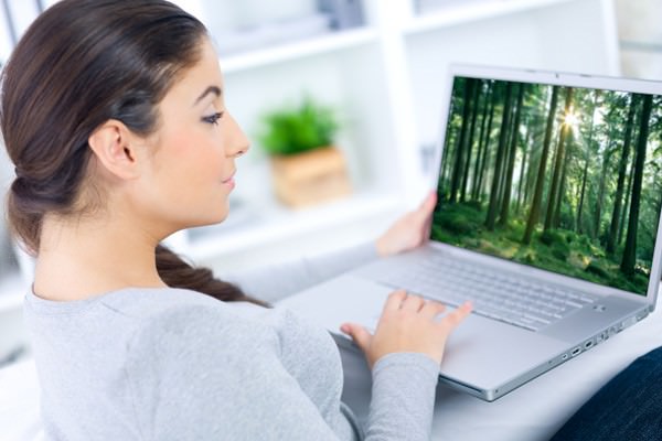 Ecologia virtual e bem-viver