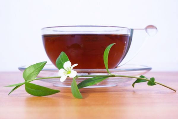 Florais podem ser usados na comida