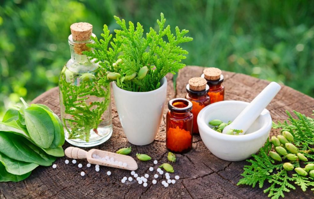 História e origem da Homeopatia