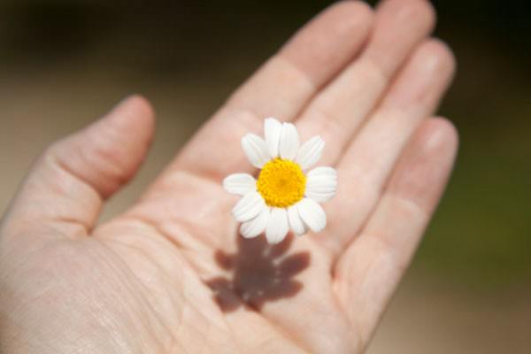 O que você está plantando em sua vida?