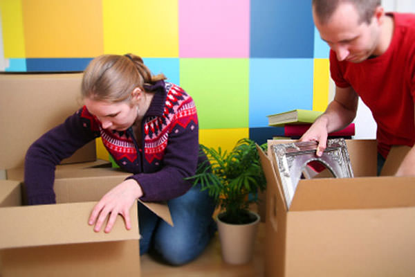 Organize ambientes e ganhe energia
