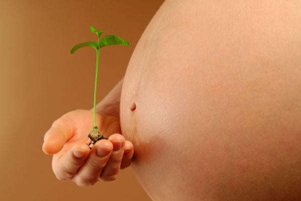 Fertilidade: o poder de gerar a própria vida