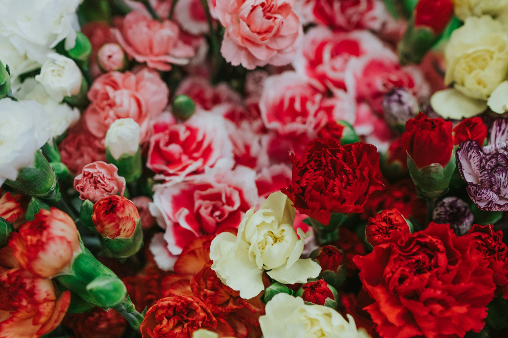 Stampo Per Torta Pentalux Americano Da 20 Cm - Forma Rotonda In Argento