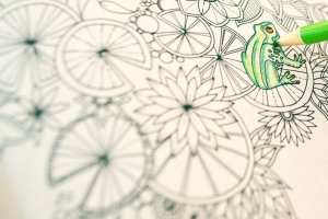 Nós testamos: livros de colorir