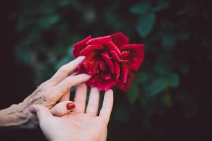O desafio de cuidar de pais idosos