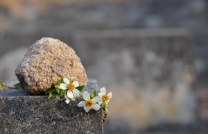 Dia dos Mortos e suas diferentes celebrações
