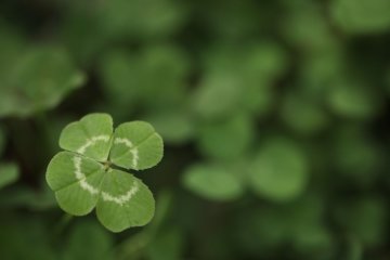 Karma: qual problema costuma se repetir na sua vida?