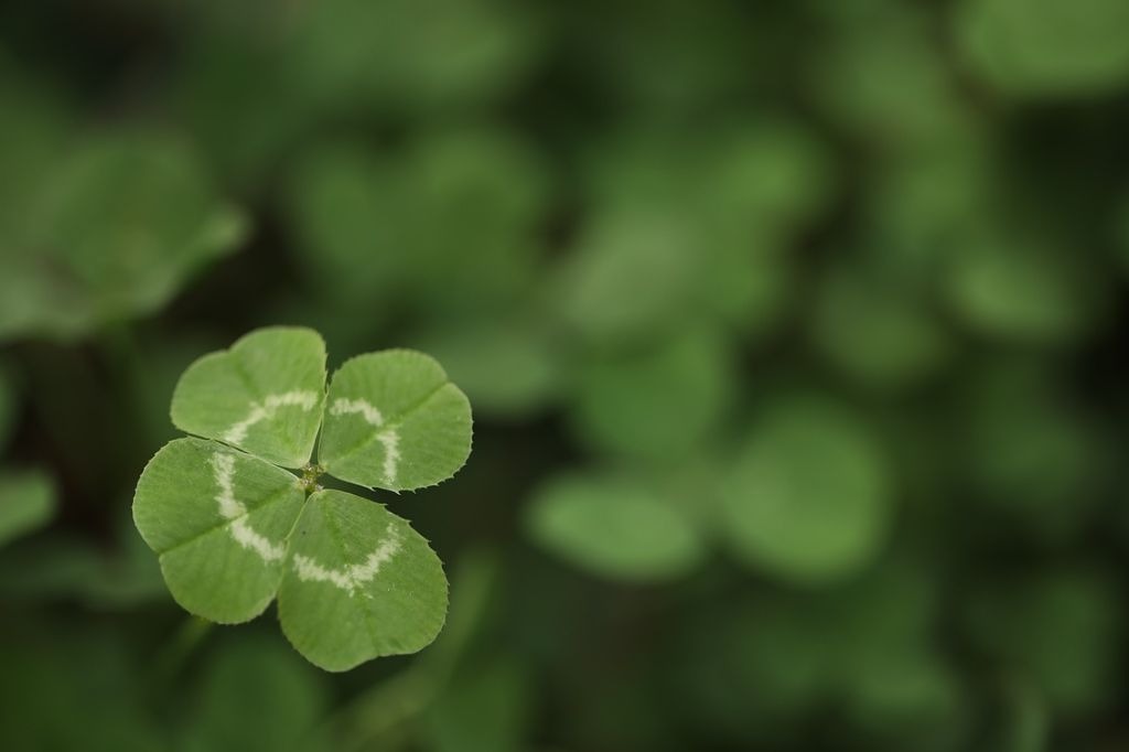Karma: qual problema costuma se repetir na sua vida?