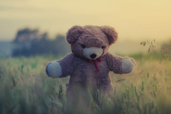 O que está por trás da mente de um abusador sexual infantil