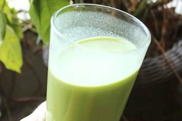 Receita de Suco Verde com sementes germinadas