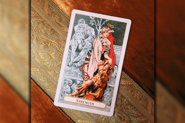 Tarot: significado do arcano “A Força”