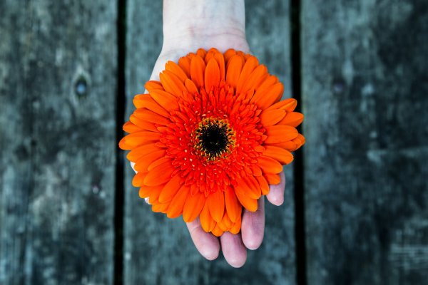 Laranja: a cor de 2018 traz coragem e harmonia nos relacionamentos