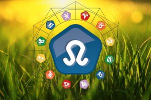 Previsões para Leão em 2017