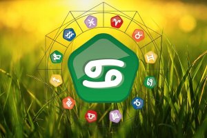 Previsões para Câncer em 2017