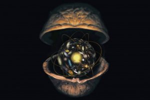O universo numa casca de noz