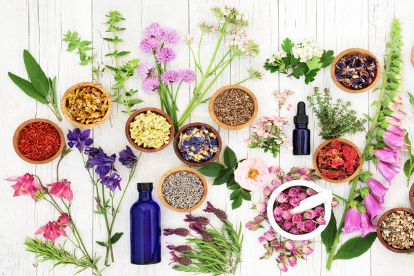 Vida caótica? Florais e Aromaterapia podem ajudar a reencontrar seu centro