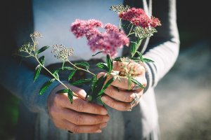 Lua nova em Touro: o que você está plantando para o futuro?