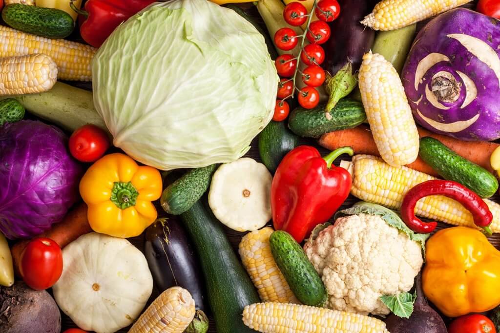 Agricultura biodinâmica: a saúde livre de agrotóxicos
