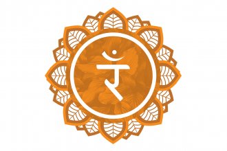 Plexo solar: o que � e como funciona