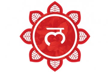 Chakra básico concentra força da realização material