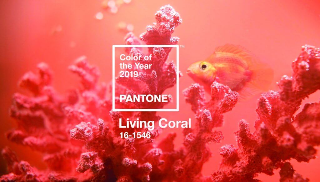Pantone 2019: 6 dicas de como usar a cor Living Coral