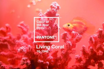 Pantone 2019: 6 dicas de como usar a cor Living Coral