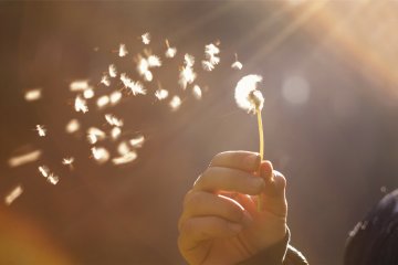 O que é Access Consciousness?