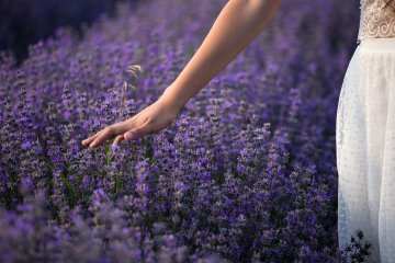 Óleos essenciais para trabalhar desafios da Numerologia