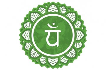 Chakra Cardíaco: capacidade de amar e ser amado
