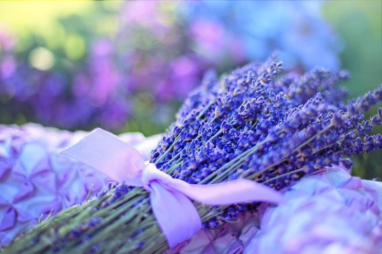 Curso: Aromaterapia – Primeiros Passos