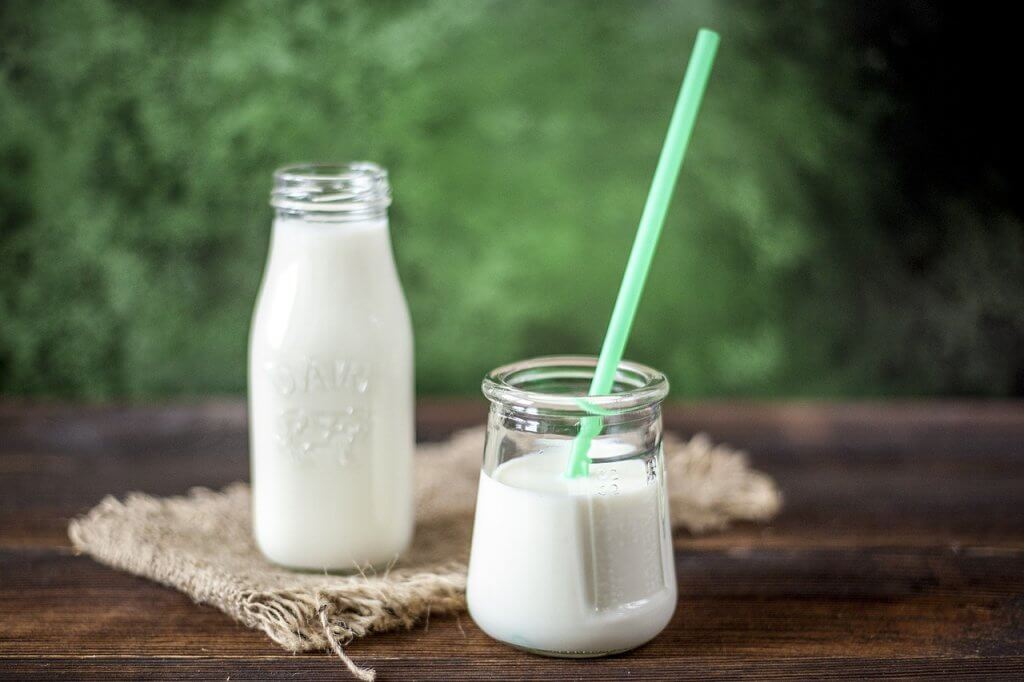 O que são alimentos probióticos e prebióticos?