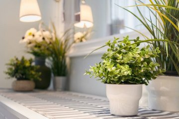 Feng Shui para ativar mais de um guá no mesmo ambiente