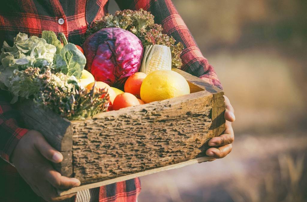 Como montar cardápio saudável com alimentos coringas