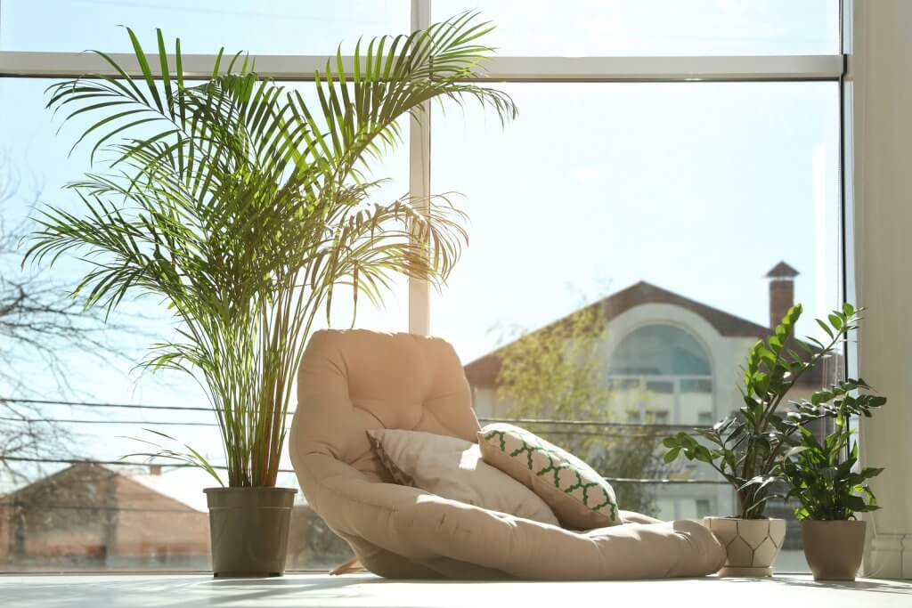 Limpeza energética purifica e protege a casa
