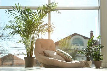 Limpeza energética purifica e protege a casa