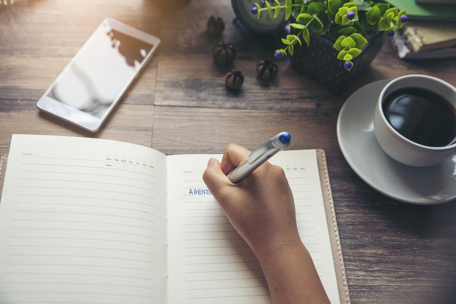 Mapeie suas caracter�sticas comportamentais