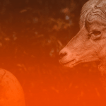 personalidade do Signo de Áries