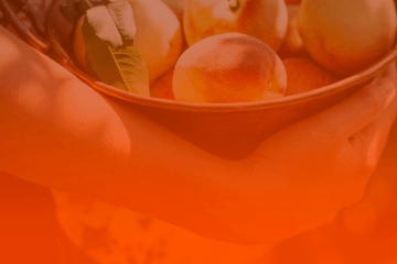 Previsões para Virgem em 2020