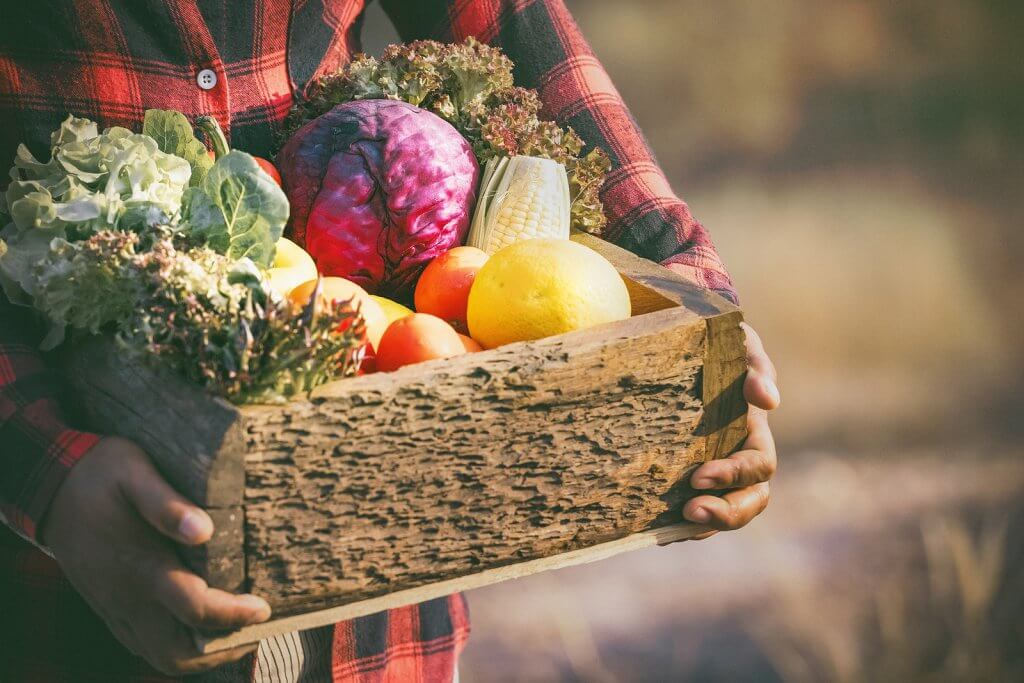 O que são alimentos orgânicos?