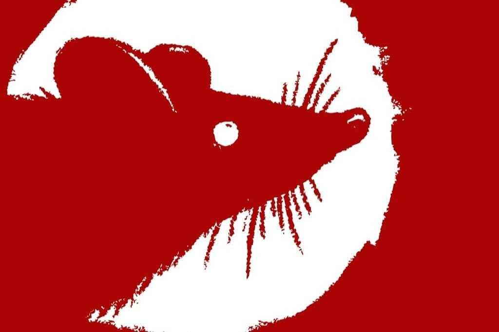 Ano Novo Chinês 2020: o ano do Rato