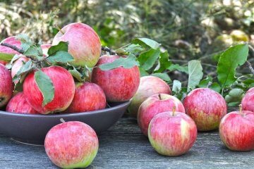 Frutas de março: faça a escolha certa para a época