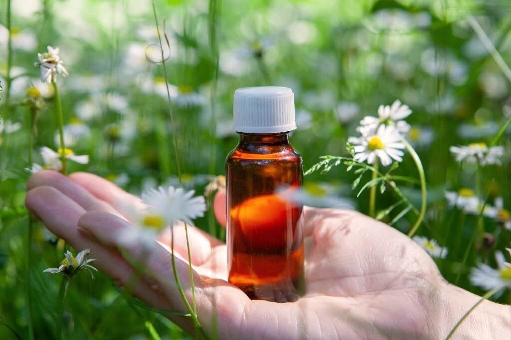 Como usar florais para ansiedade, medo e solidão