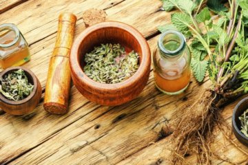 Plantas Medicinais: guia de como usar