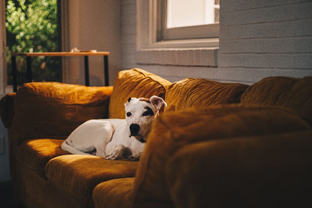 Cores no Feng Shui: como usar nos quartos, sala, cozinha e banheiro