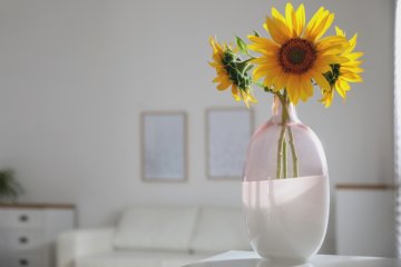 Como usar as curas de Feng Shui
