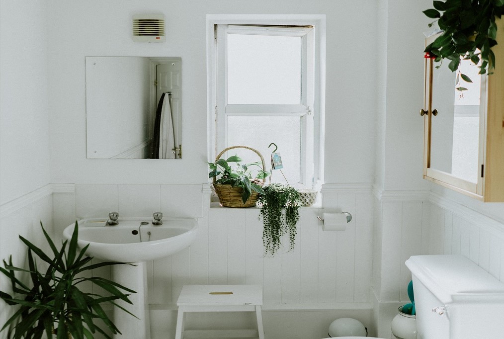 Feng Shui no banheiro: plantas, espelhos e decoração
