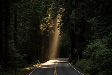 O despertar espiritual e o aumento de consciência